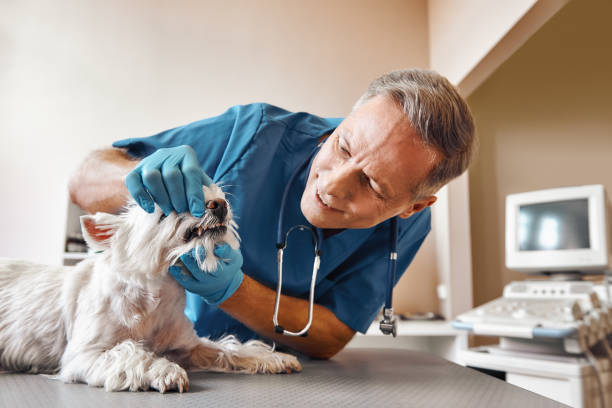 Best Emergency Tooth Extraction in Cleveland, AL